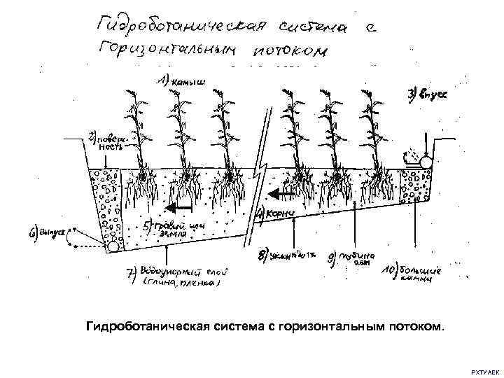 Гидроботаническая система с горизонтальным потоком.      РХТУ АЕК 