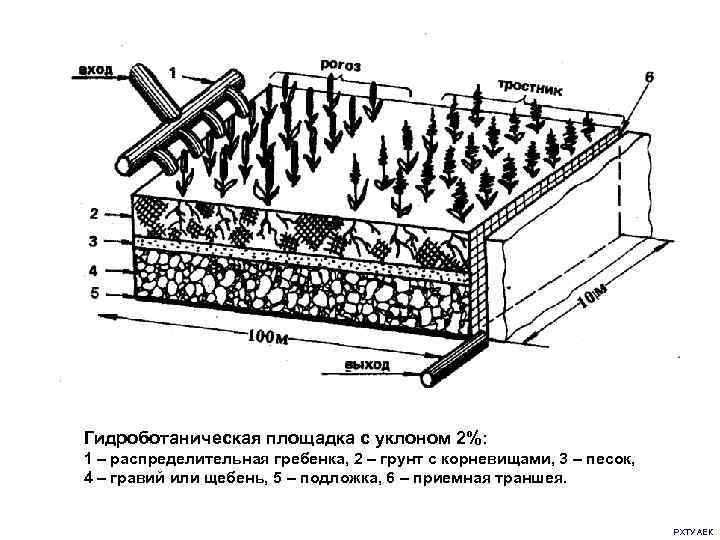 Гидроботаническая площадка с уклоном 2%:  1 – распределительная гребенка, 2 – грунт с