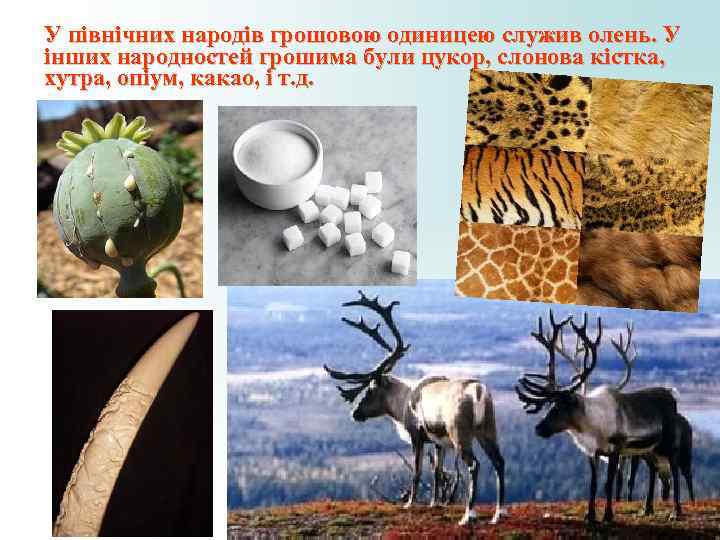 У північних народів грошовою одиницею служив олень. У інших народностей грошима були цукор, слонова У північних народів грошовою одиницею служив олень. У інших народностей грошима були цукор, слонова