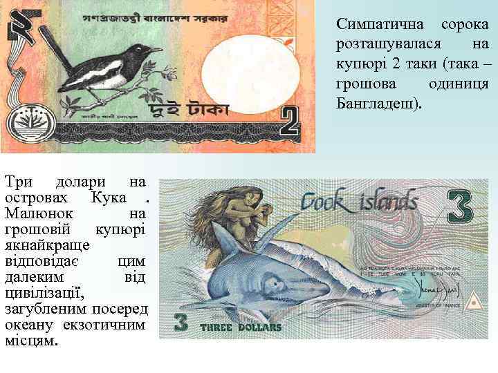 Симпатична сорока розташувалася на Симпатична сорока розташувалася на