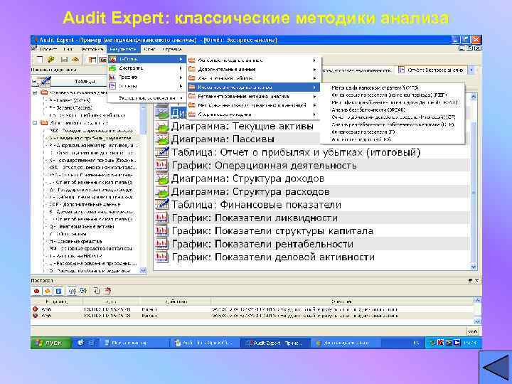 Audit Expert: классические методики анализа 