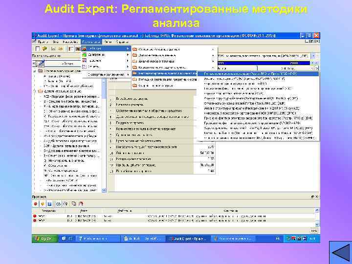 Audit Expert: Регламентированные методики     анализа 