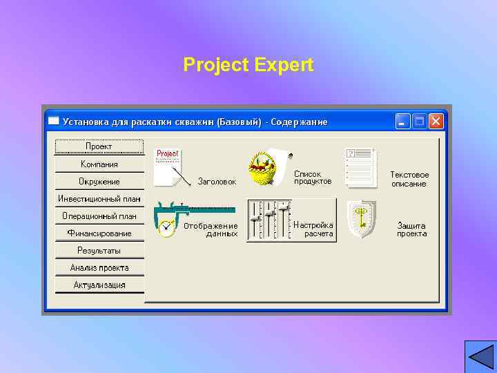 Project Expert 