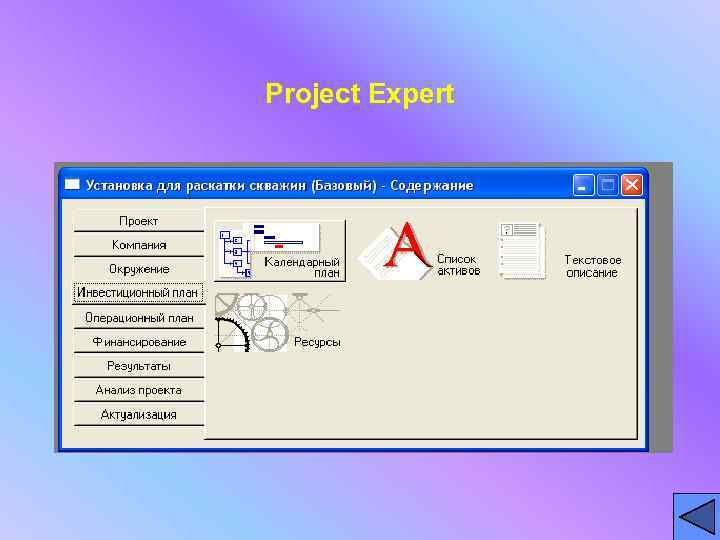 Project Expert 