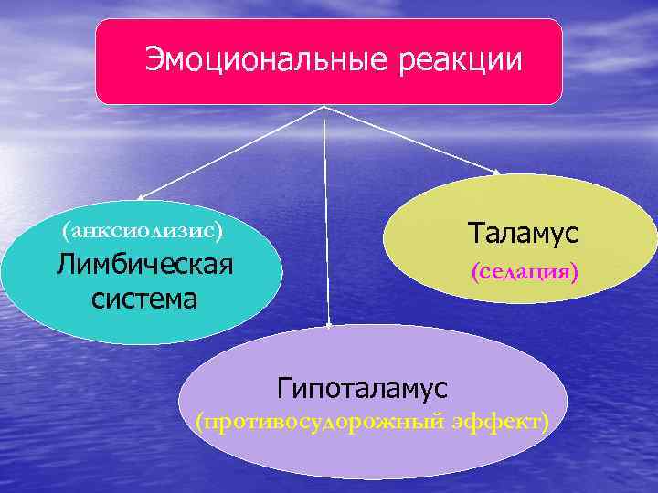 Эмоциональные реакции (анксиолизис)   Таламус Лимбическая    (седация)  система