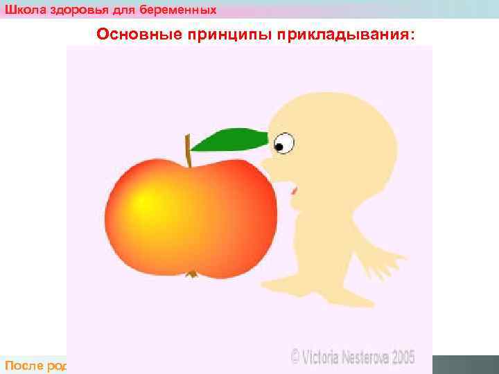 Школа здоровья для беременных    Основные принципы прикладывания: После родов. Нас двое.
