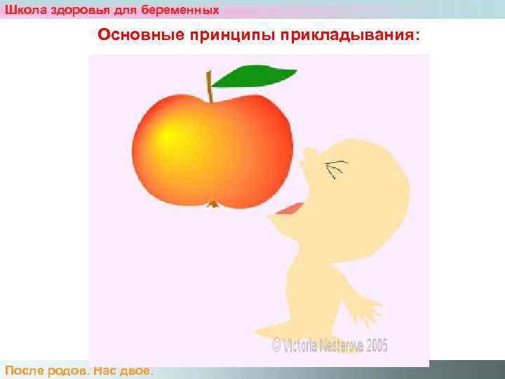 Школа здоровья для беременных    Основные принципы прикладывания: После родов. Нас двое.