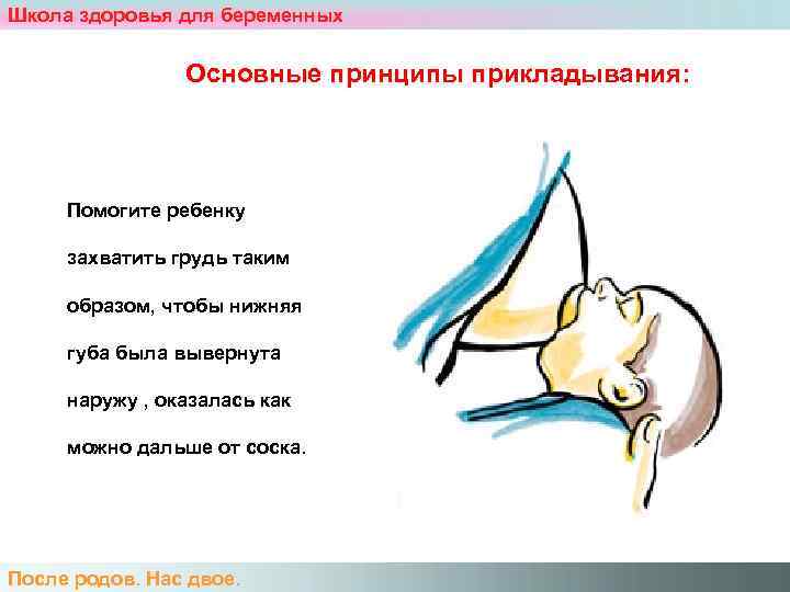 Школа здоровья для беременных    Основные принципы прикладывания:  Помогите ребенку 