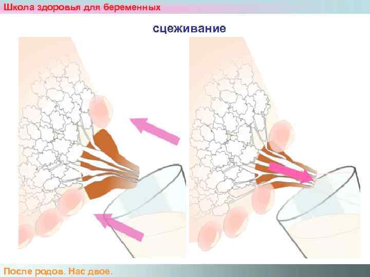 Схема сцеживания грудного молока