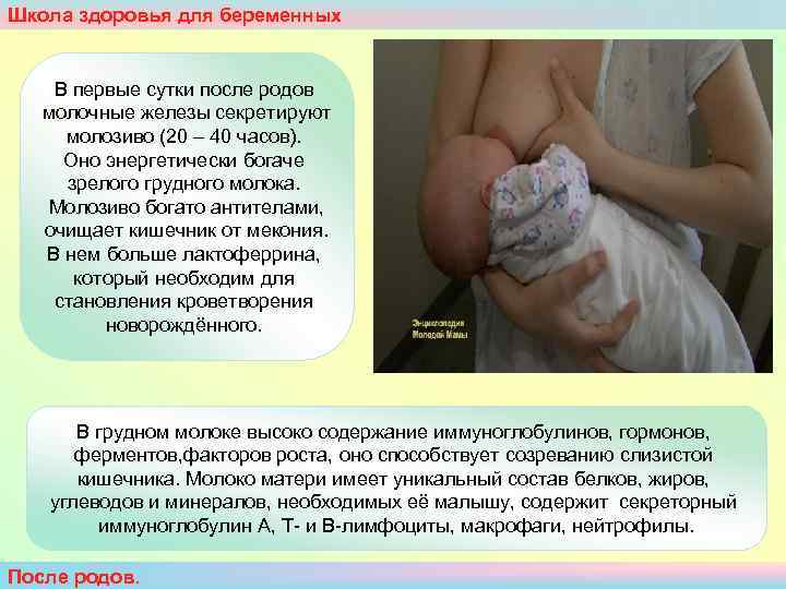 Школа здоровья для беременных  В первые сутки после родов молочные железы секретируют 