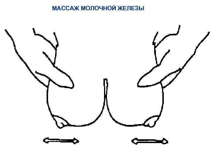 МАССАЖ МОЛОЧНОЙ ЖЕЛЕЗЫ 