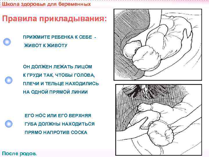 Школа здоровья для беременных Правила прикладывания:   ПРИЖМИТЕ РЕБЕНКА К СЕБЕ - 