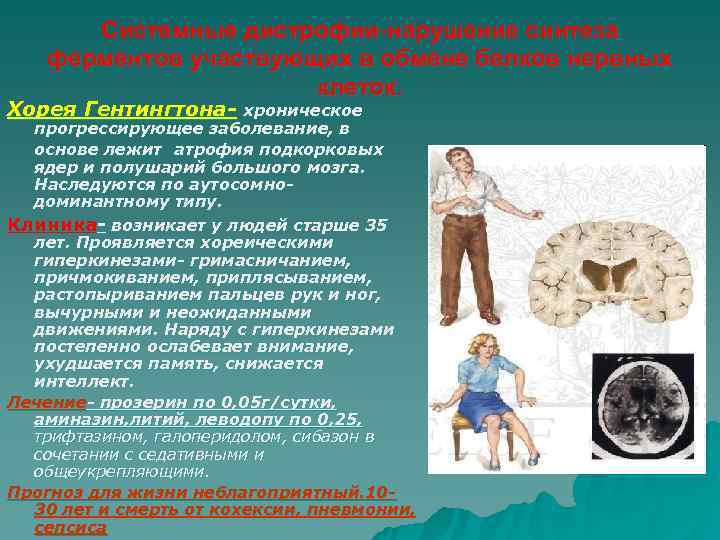   Системные дистрофии-нарушение синтеза ферментов участвующих в обмене белков нервных   
