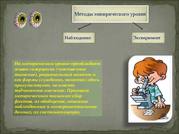     Методы эмпирического уровня    Наблюдение   