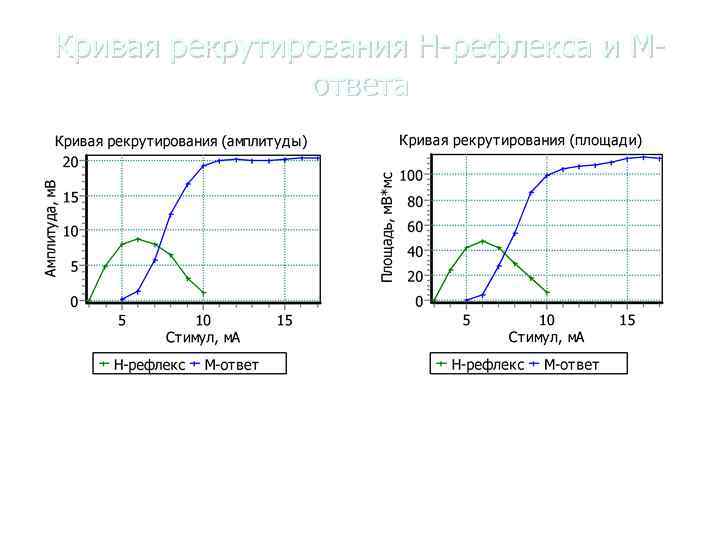 Схема н рефлекса и м ответа