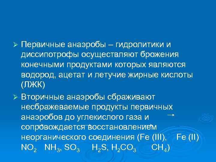 Ø Первичные анаэробы – гидролитики и  диссипотрофы осуществляют брожения  конечными продуктами которых