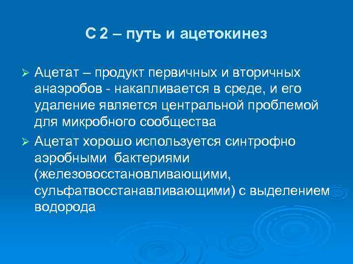   С 2 – путь и ацетокинез Ø Ацетат – продукт первичных и