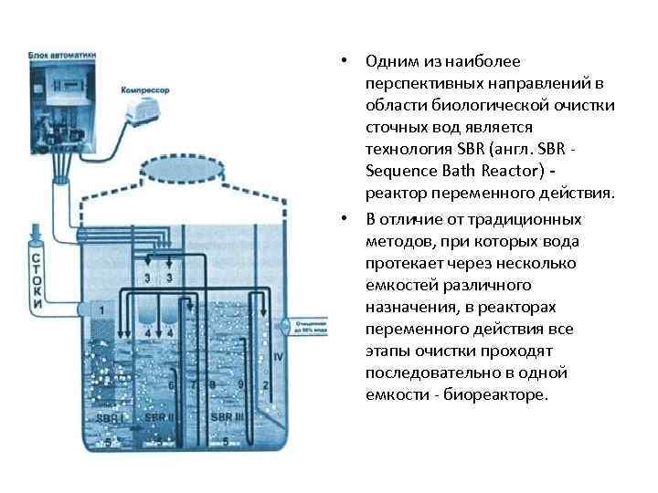  • Одним из наиболее  перспективных направлений в  области биологической очистки 