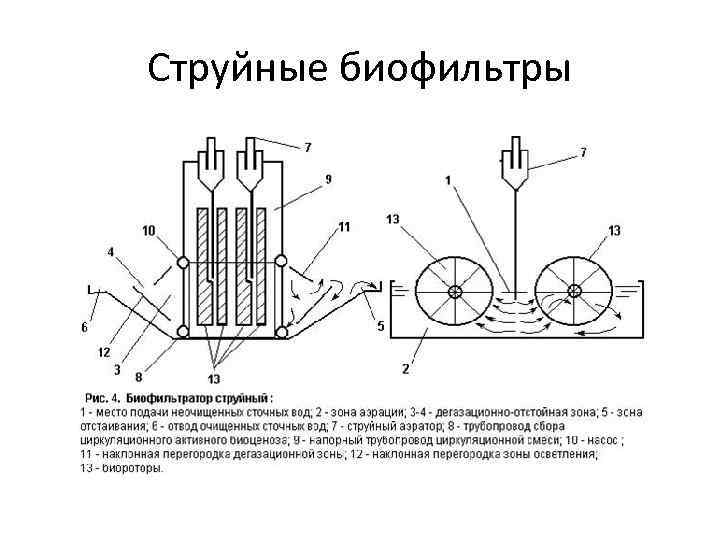 Место подачи. Биофильтраторы сточных вод. Биофильтратор очистка воздуха. Примеры биофильтраторов. Биофильтраторы это КТТ.