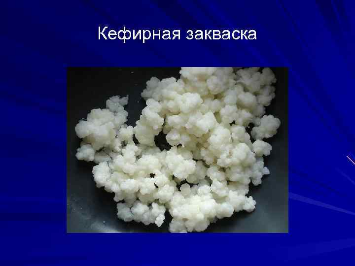 Кефирная закваска 
