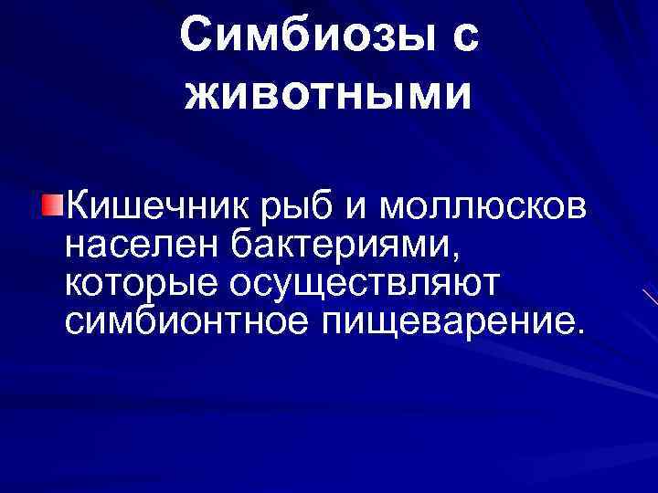  Симбиозы с животными Кишечник рыб и моллюсков населен бактериями,  которые осуществляют симбионтное