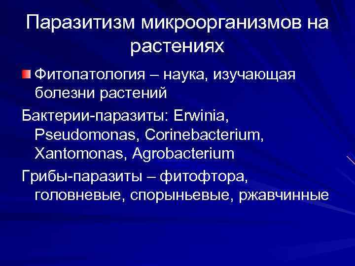 Паразитизм микроорганизмов на  растениях  Фитопатология – наука, изучающая  болезни растений Бактерии-паразиты: