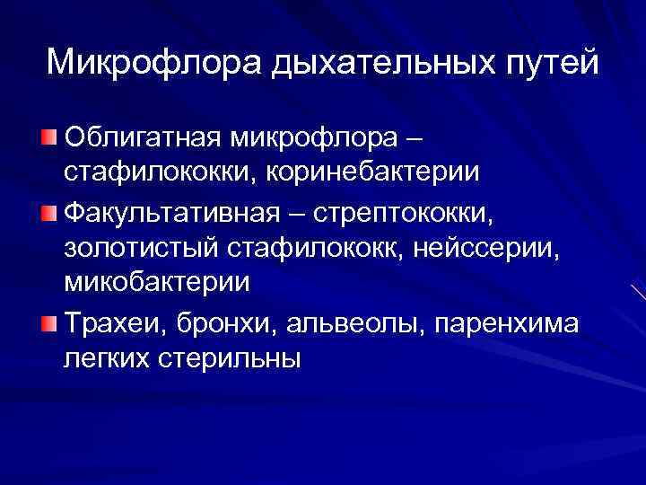 Микрофлора верхних дыхательных путей микробиология презентация