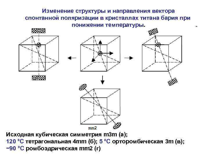 Как изменяется структура