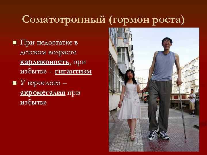   Соматотропный (гормон роста) n  При недостатке в детском возрасте карликовость, при