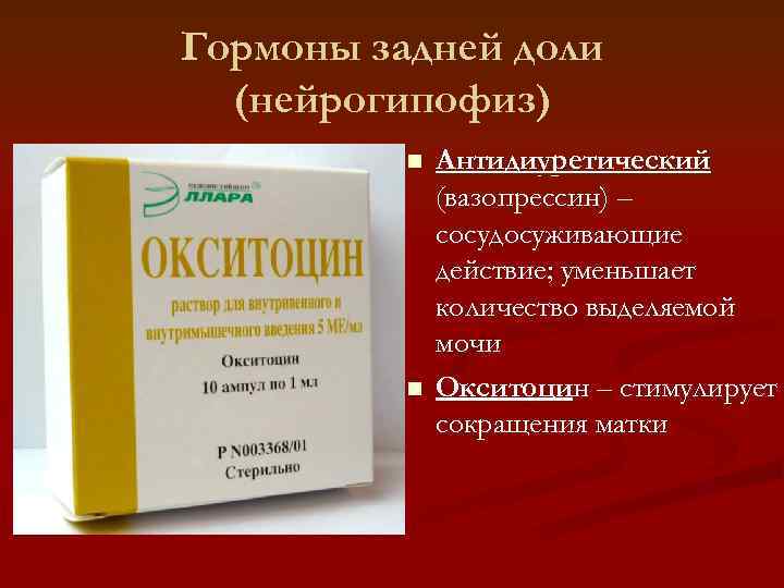 Гормоны задней доли  (нейрогипофиз)  n  Антидиуретический    (вазопрессин) –