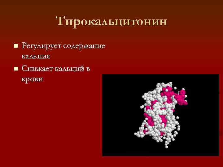   Тирокальцитонин n  Регулирует содержание кальция n  Снижает кальций в крови