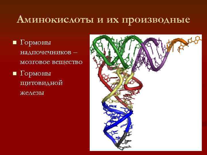 Аминокислоты и их производные n  Гормоны надпочечников – мозговое вещество n  Гормоны