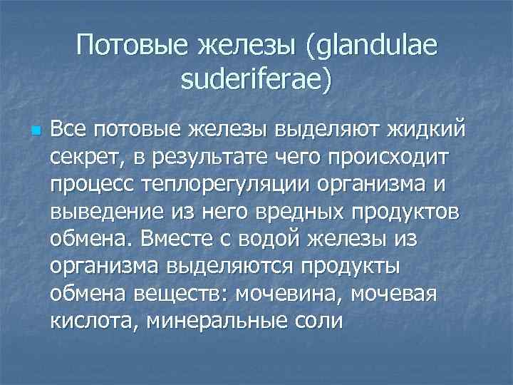  Потовые железы (glandulae   suderiferae) n  Все потовые железы выделяют жидкий