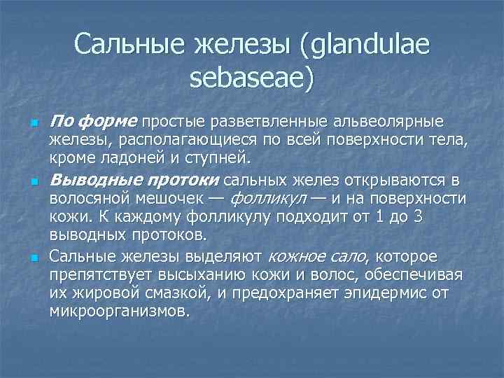  Сальные железы (glandulae    sebaseae) n  По форме простые разветвленные