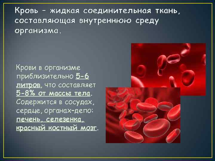 На рисунке изображена соединительная ткань кровь какова особенность этой ткани