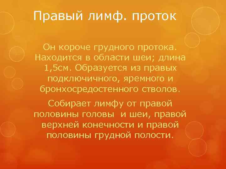Правый лимф. проток  Он короче грудного протока. Находится в области шеи; длина 
