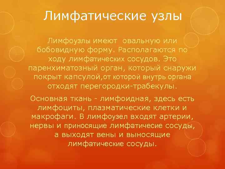   Лимфатические узлы Лимфоузлы имеют овальную или  бобовидную форму. Располагаются по ходу