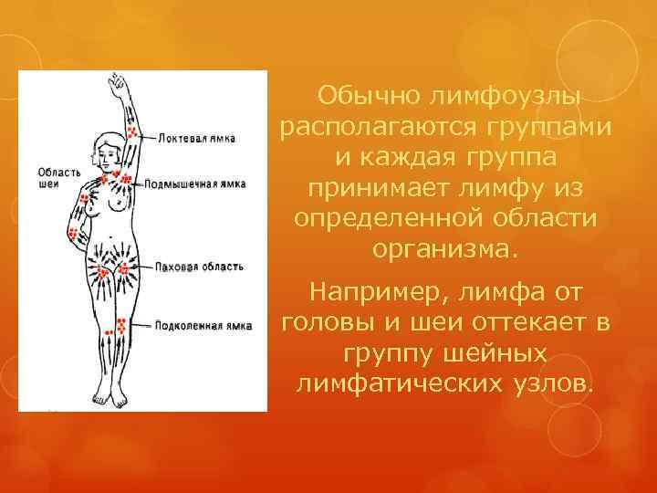   Обычно лимфоузлы располагаются группами и каждая группа  принимает лимфу из определенной