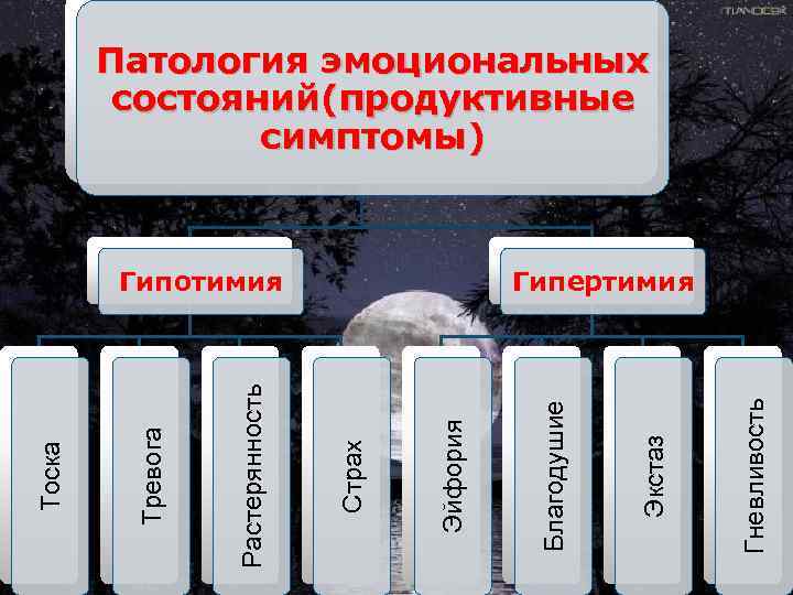   Патология эмоциональных   состояний(продуктивные   симптомы)  Гипотимия  