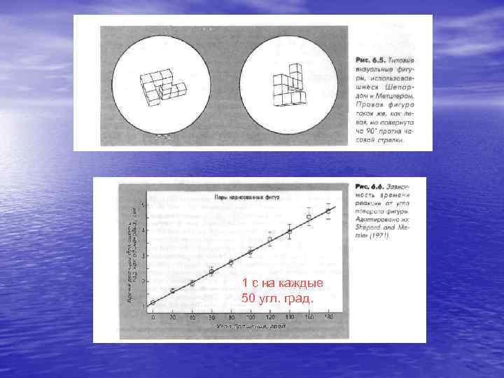 1 с на каждые 50 угл. град. 