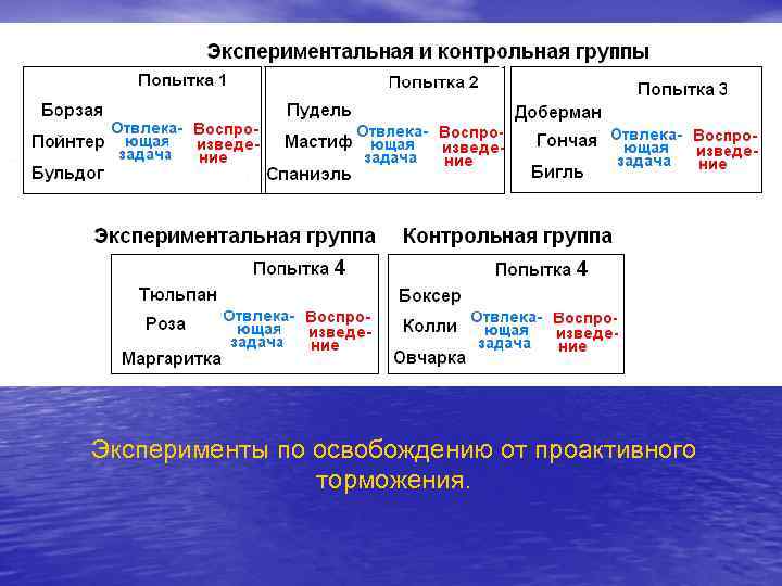 Эксперименты по освобождению от проактивного   торможения. 