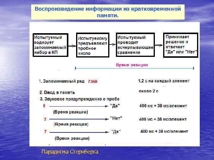 Воспроизведение информации из кратковременной    памяти.  Парадигма Стернберга 