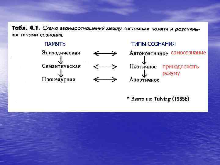 ПАМЯТЬ  ТИПЫ СОЗНАНИЯ     самосознание    принадлежать 