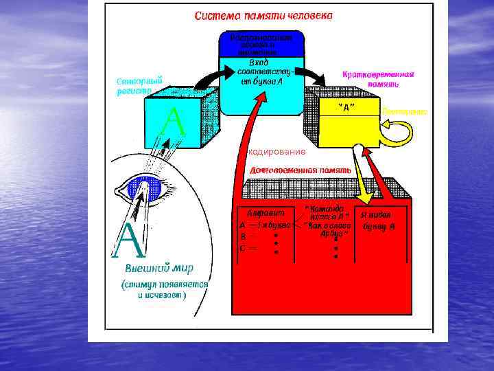  кодирование  рова  ние 