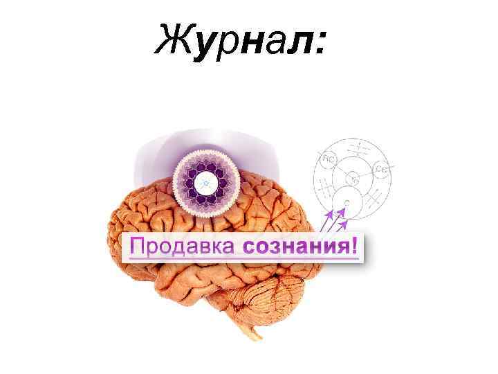 Журнал: 