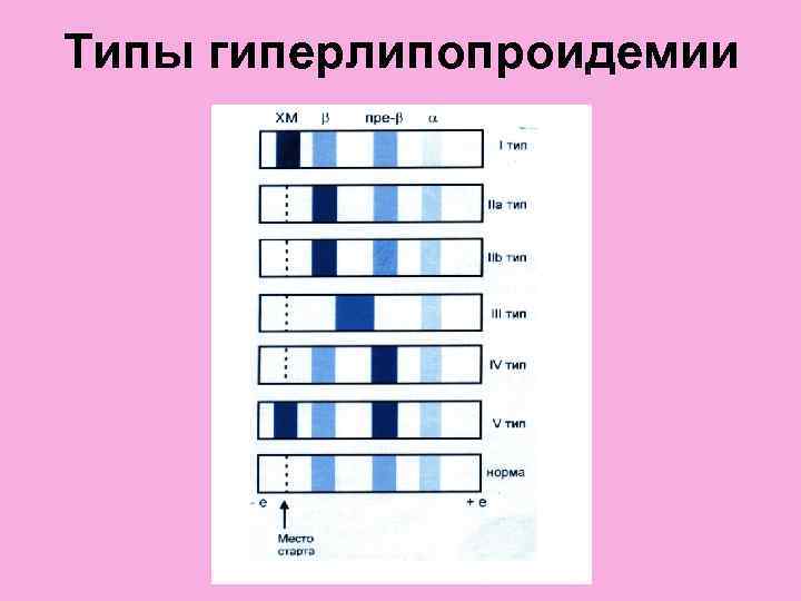 Типы гиперлипопроидемии 