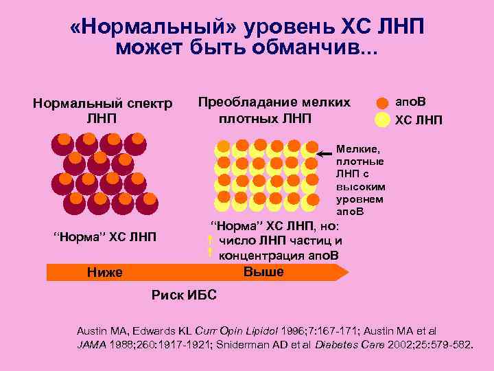 Нормальный спектр. Уровень липопротеинов низкой плотности. Гликозилирование ЛПНП. Апобелка липопротеинов низкой плотности. Малые плотные частицы ЛПНП.