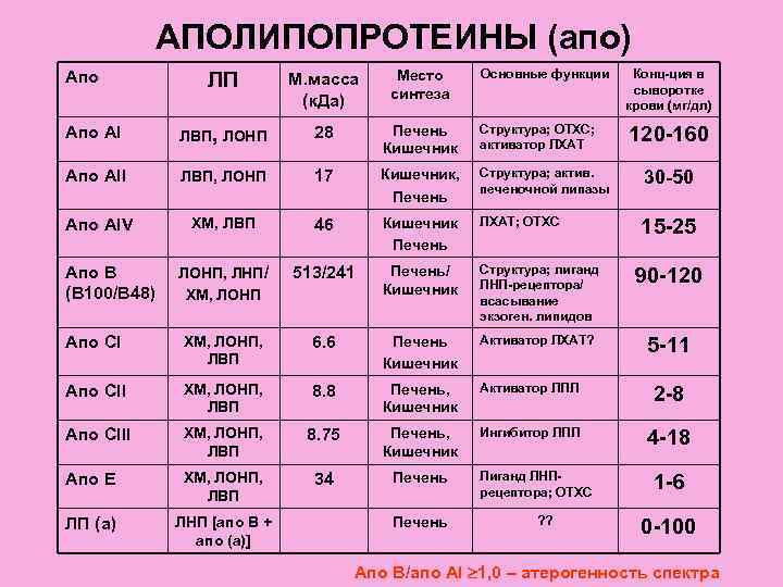 Белок а1. Функции аполипопротеинов таблица. Апопротеины классификация. Основные аполипопротеины, их функции.. Липопротеины классификация.