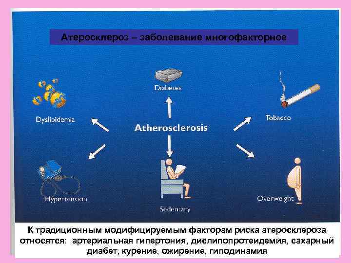   Атеросклероз – заболевание многофакторное  К традиционным модифицируемым факторам риска атеросклероза относятся: