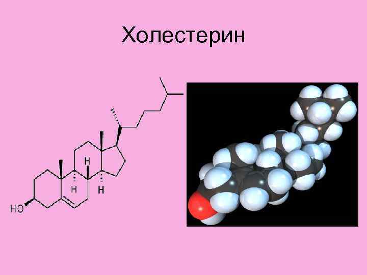 Холестерин 